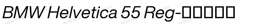 BMW Helvetica 55 Reg字体转换